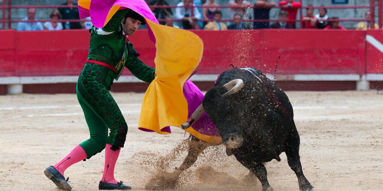 combat-corrida