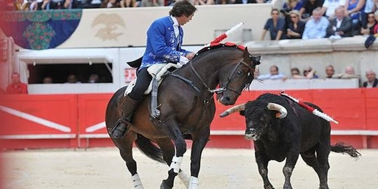corrida_chevaux