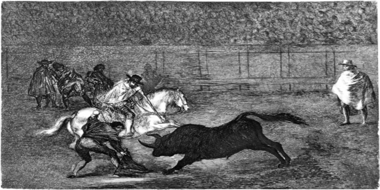 histoire-corrida-chevaux
