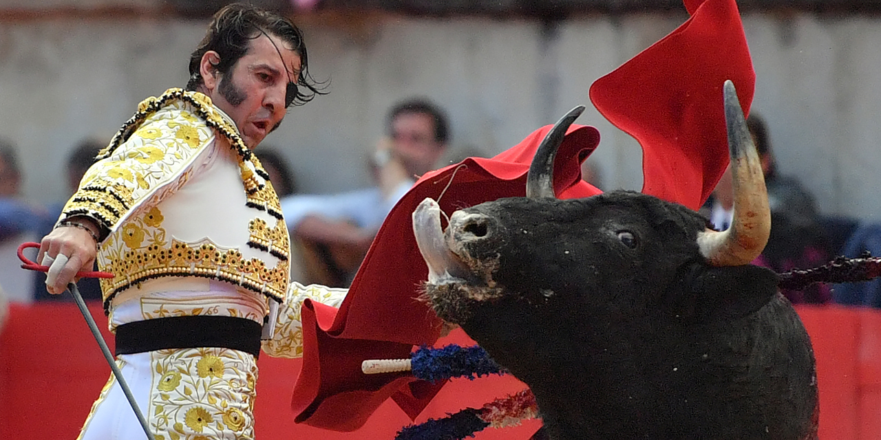 matador