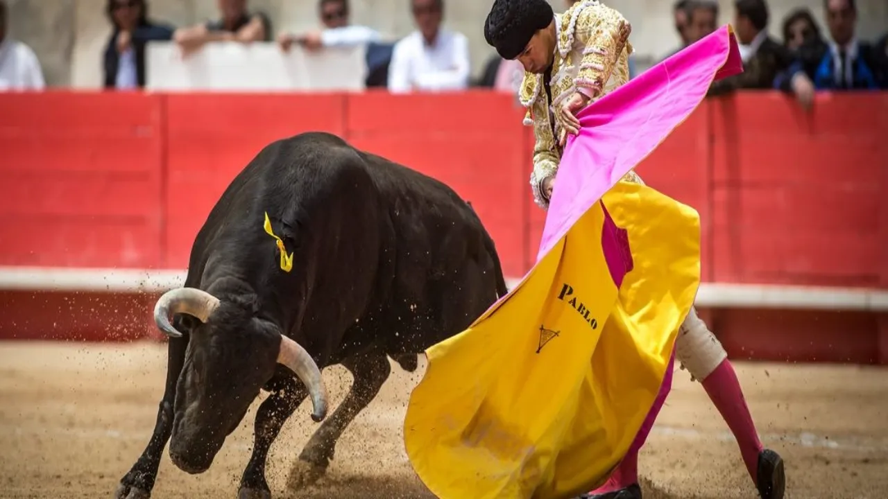 Dangers de la corrida