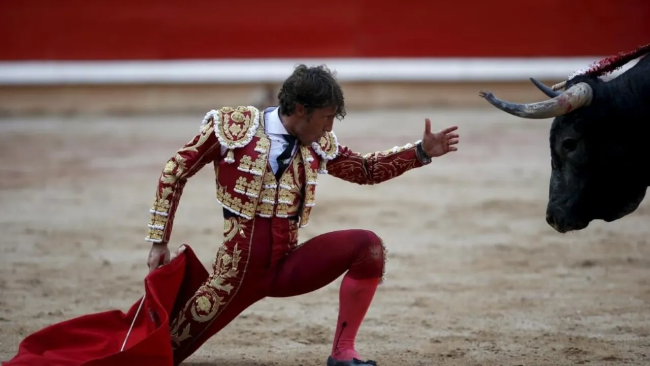Etapes de la corrida