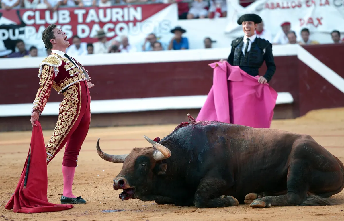 Réglementation de la corrida