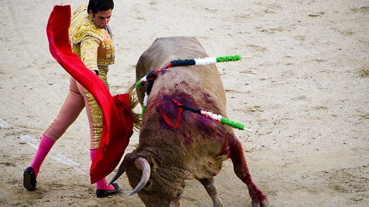 Symboles de la corrida
